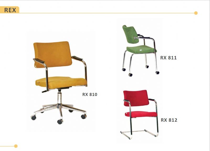 REX SERİSİ